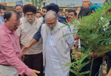 अंबाला में वन महोत्सव पर कैबिनेट मंत्री अनिल विज ने किया पौधारोपण
