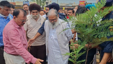 अंबाला में वन महोत्सव पर कैबिनेट मंत्री अनिल विज ने किया पौधारोपण